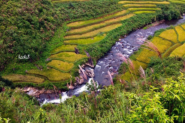 Phượt tr&ecirc;n con đường Chế Tạo huyện M&ugrave; Cang Chải